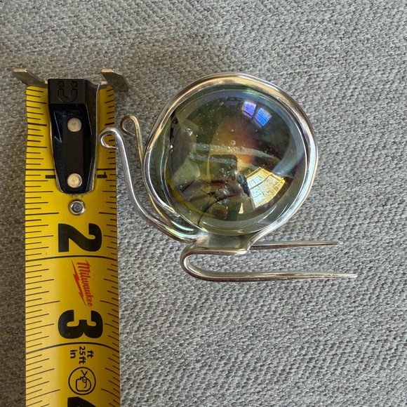 Marble Fork Snail - Picture 4 of 10